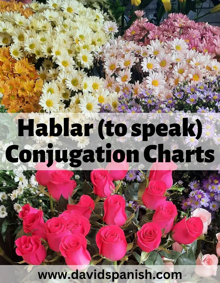 Hablar (to speak) conjugation charts
