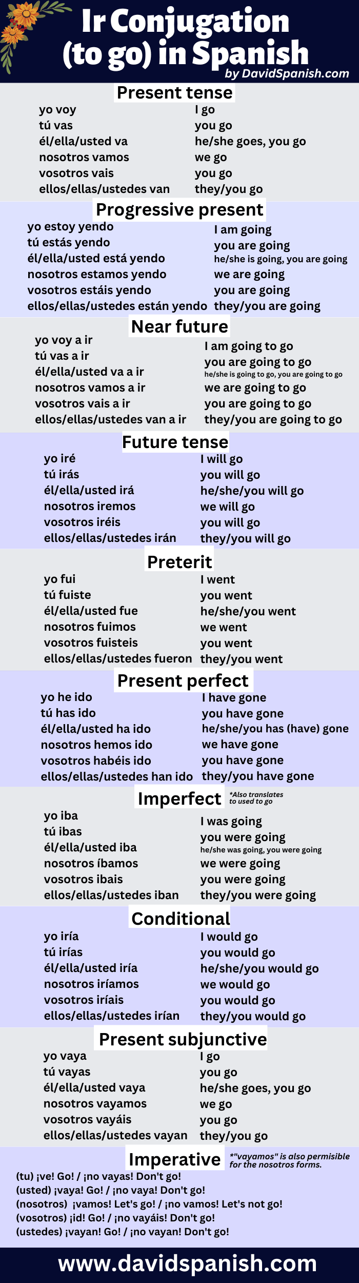 Ir conjugation table