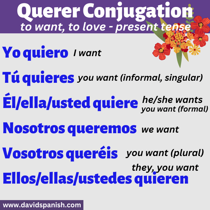 Querer conjugation in the present tense