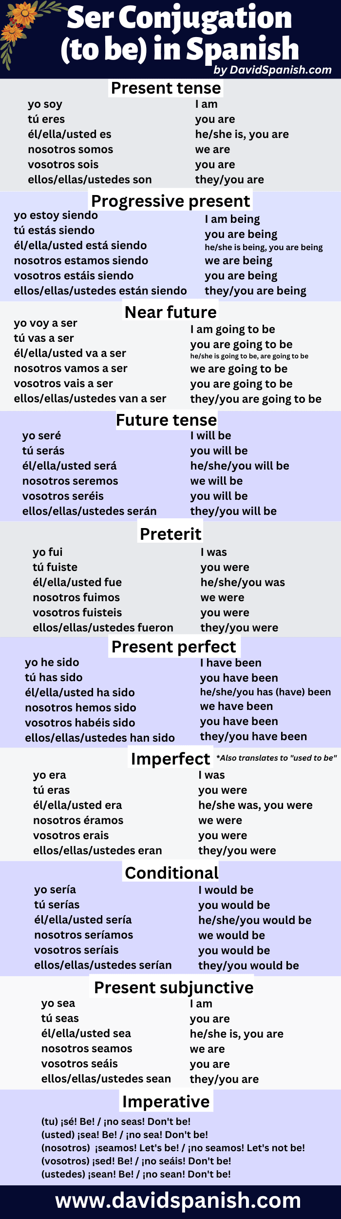 Ser conjugation table