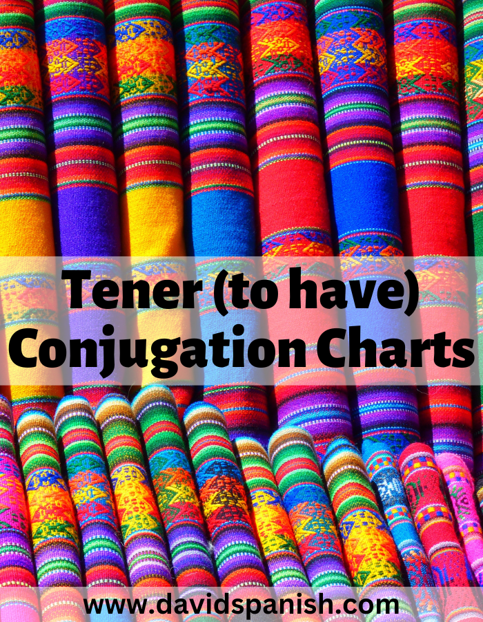 Tener (to have) conjugation charts