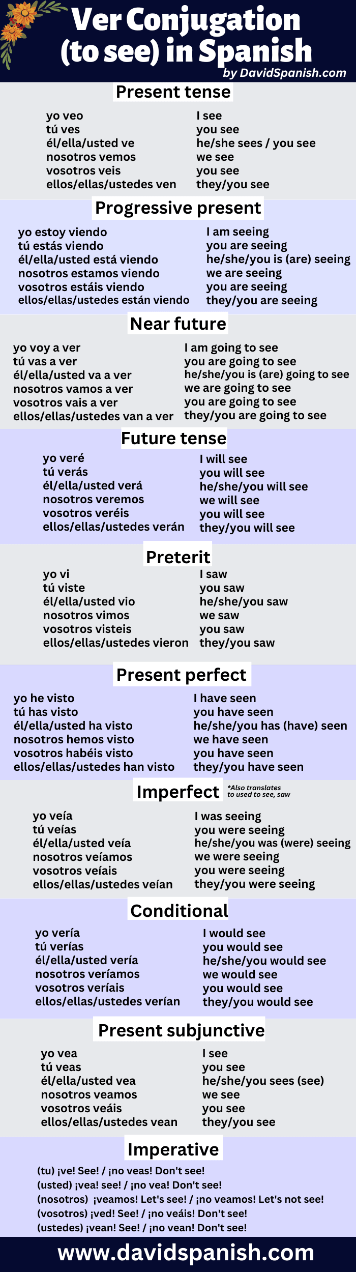 Ver conjugation table