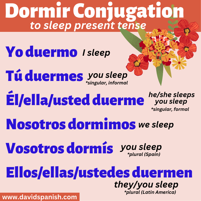 Conjugation of dormir (to sleep) in the present tense.