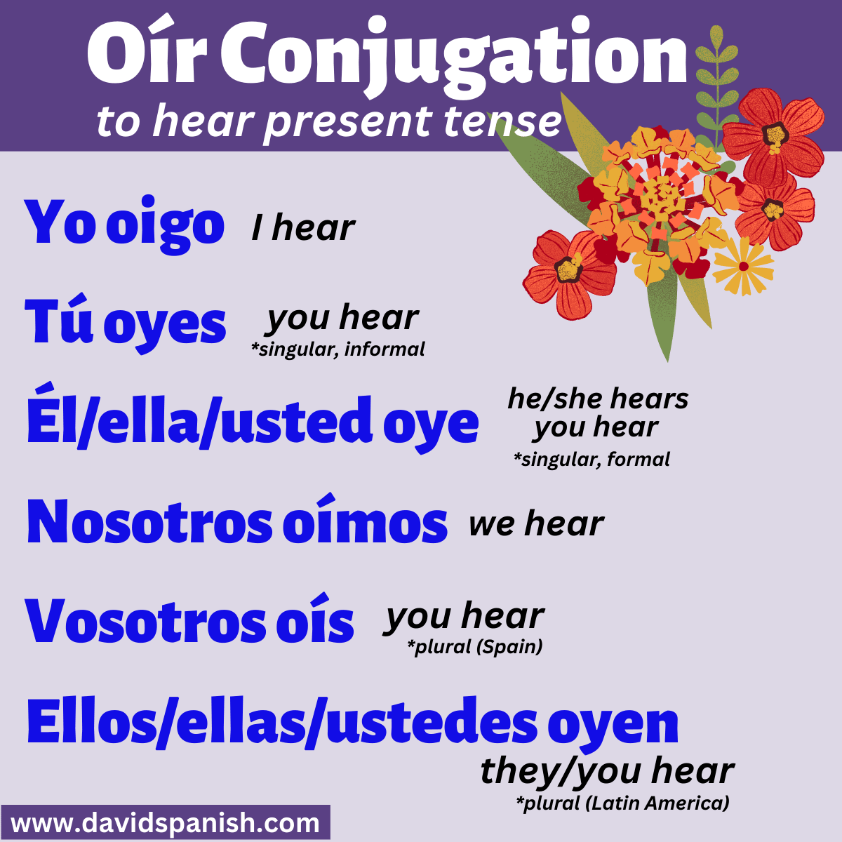 Oír (to hear) conjugation in the present tense.