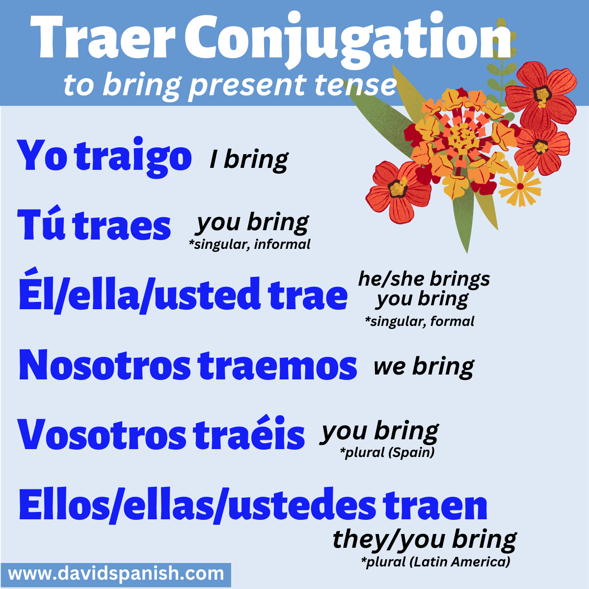 Traer (to bring) conjugated in the present tense